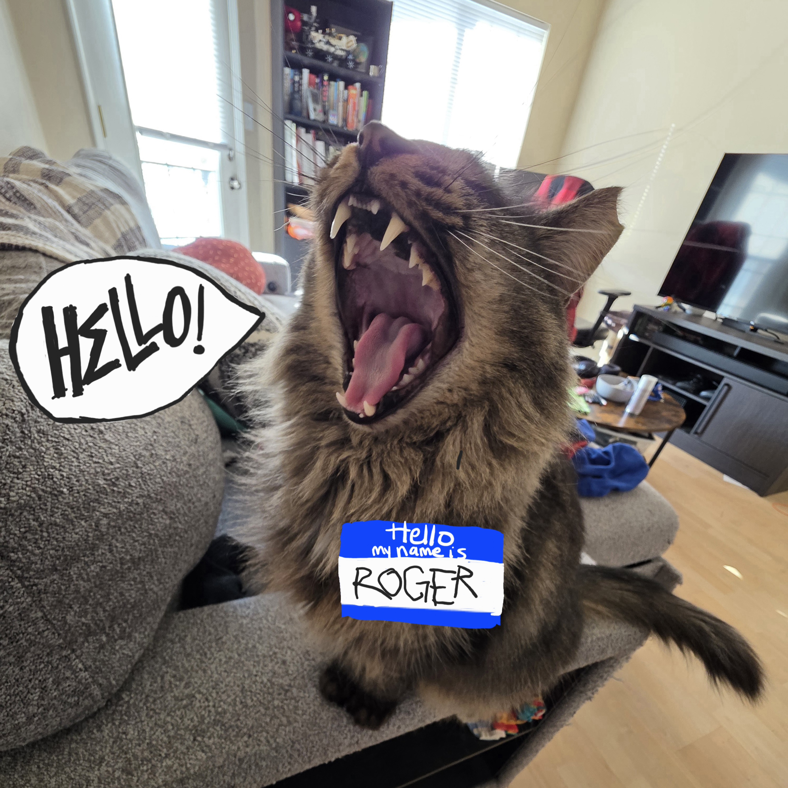 A cat with a talk bubble that says hello and the cat has a hello my name is sticker denoting that his name is Roger