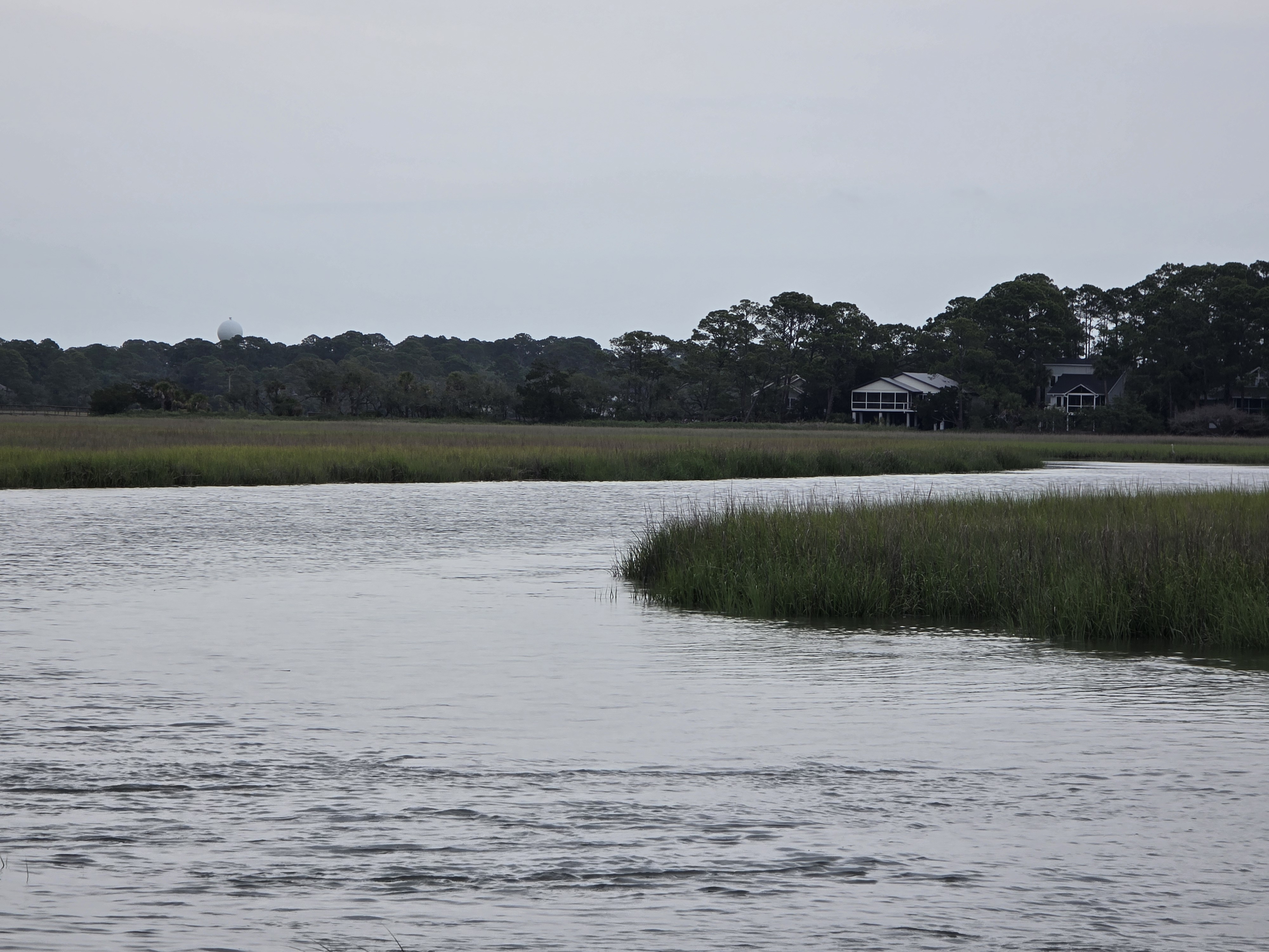 A marshy canal.